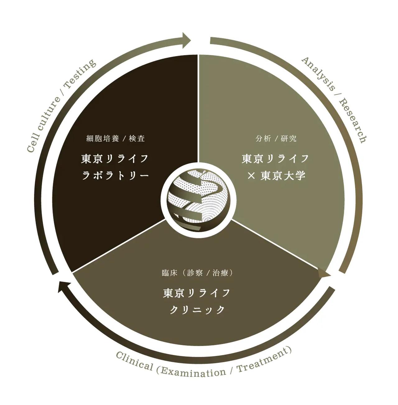 最先端の再生医療を銀座で♡世界初「クリニック・ラボ・研究機関」一体型！【東京リライフクリニック】がグランドオープン! - カワコレメディア ...