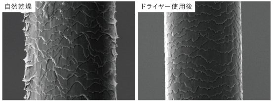画像: *自社測定。ダメージ処理を施した毛束に試験品処理を行い、電子顕微鏡にて観察。自然乾燥との比較。効果は使用環境（温度・湿度など）や個人差により異なります