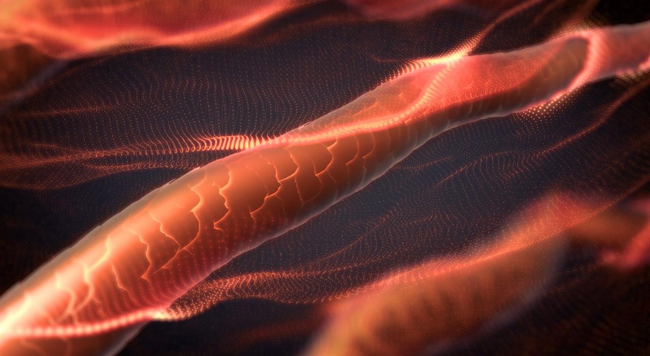 画像1: “乾くのに、乾かない”新感覚♡Brighteのナノミスト搭載の次世代型ドライヤー「SHOWER DRYER」誕生