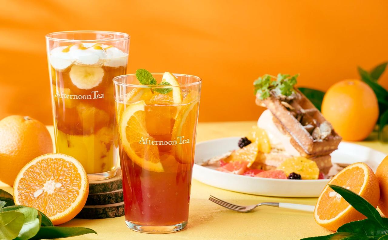 画像1: 【Afternoon Tea】柑橘が爽やかに香る新作スイーツ&ティー発売!