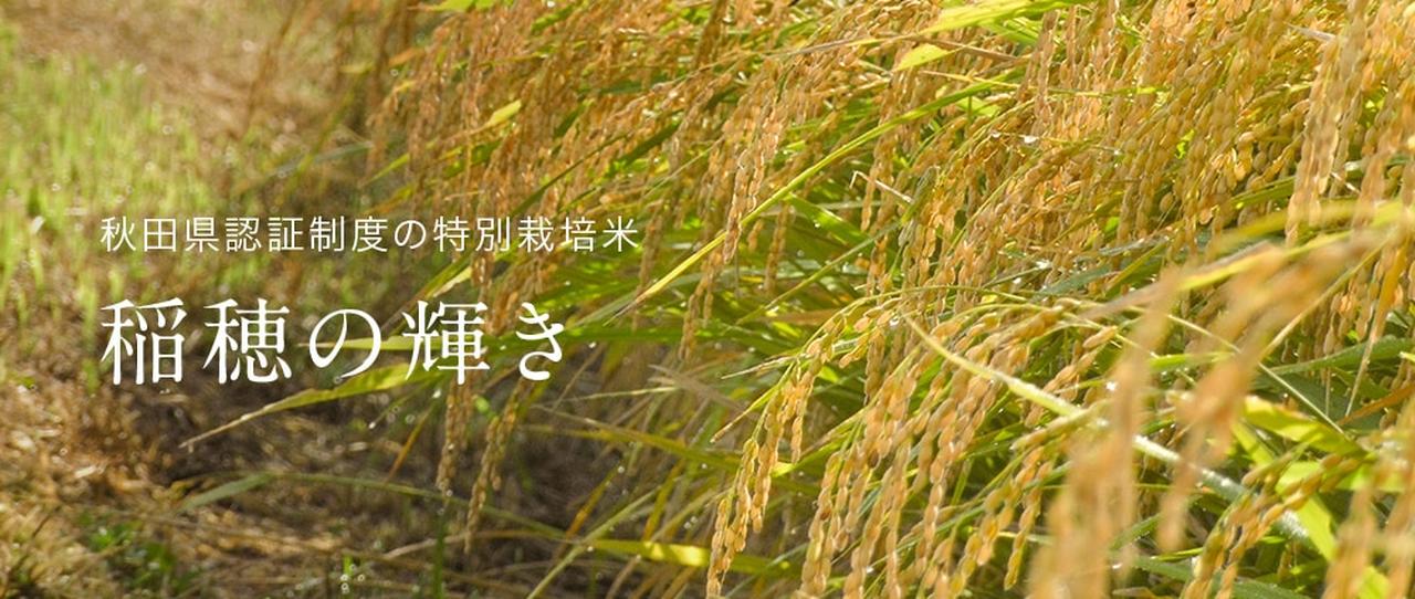 画像: オンラインショップ｜大潟村あきたこまち生産者協会｜