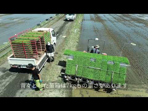 画像: - YouTube youtu.be