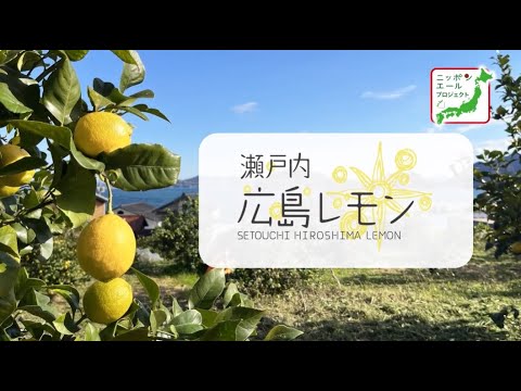 画像: - YouTube youtu.be