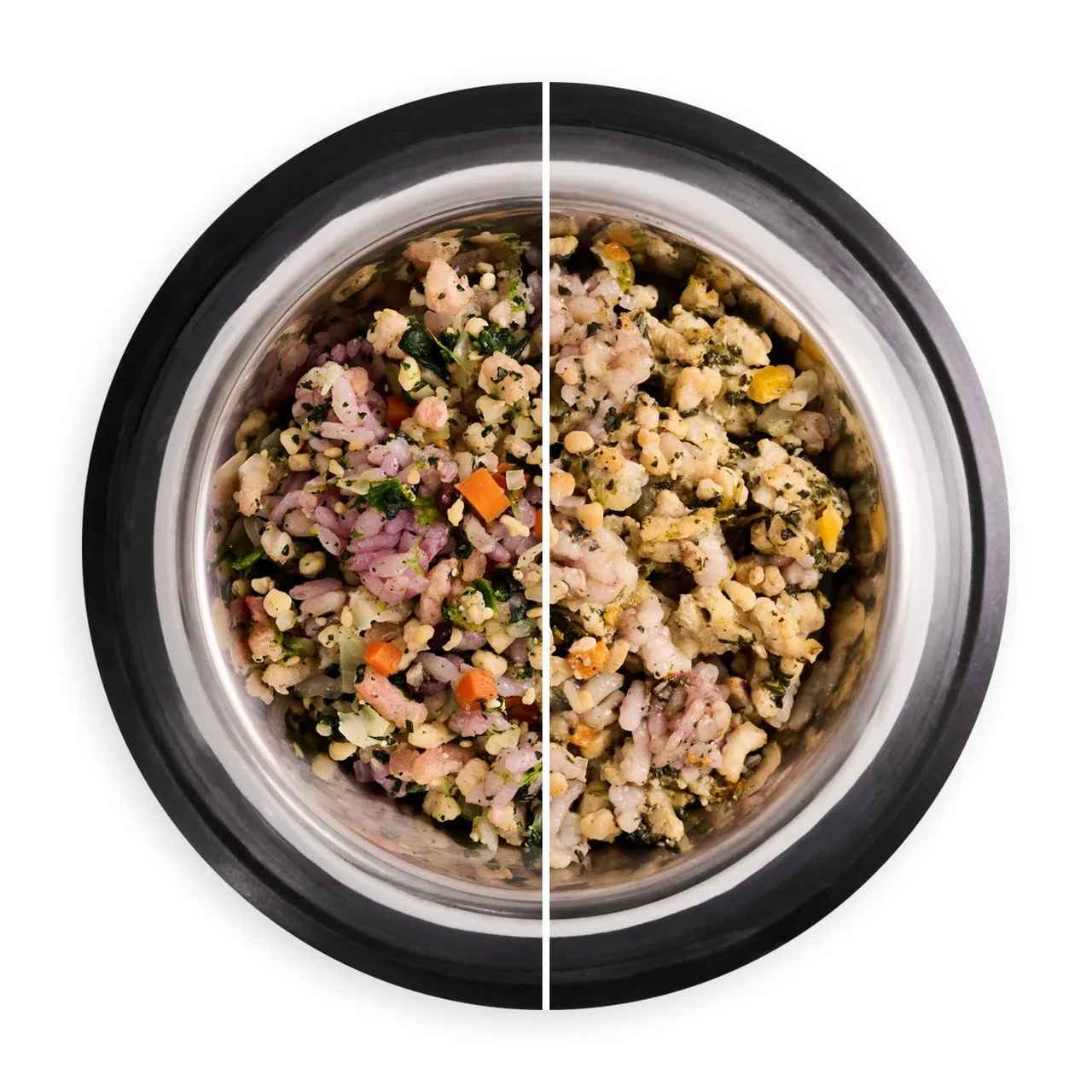 画像3: 愛犬のための健康で安心できる食事「nosh DOG」がローンチ