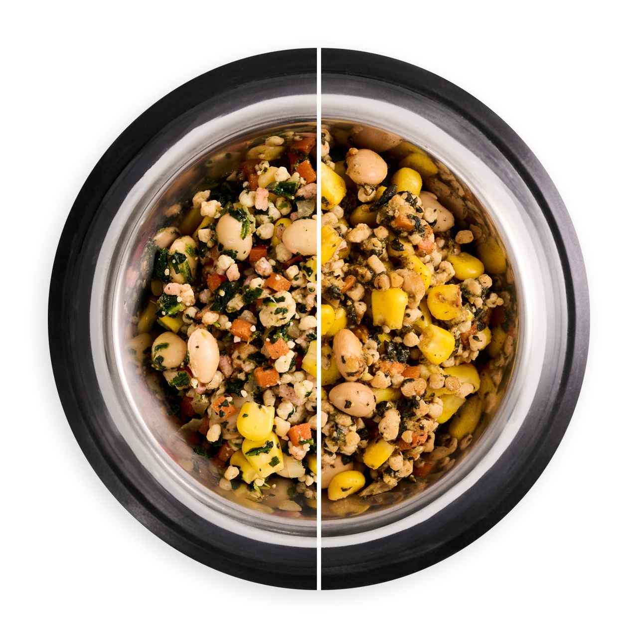 画像6: 愛犬のための健康で安心できる食事「nosh DOG」がローンチ