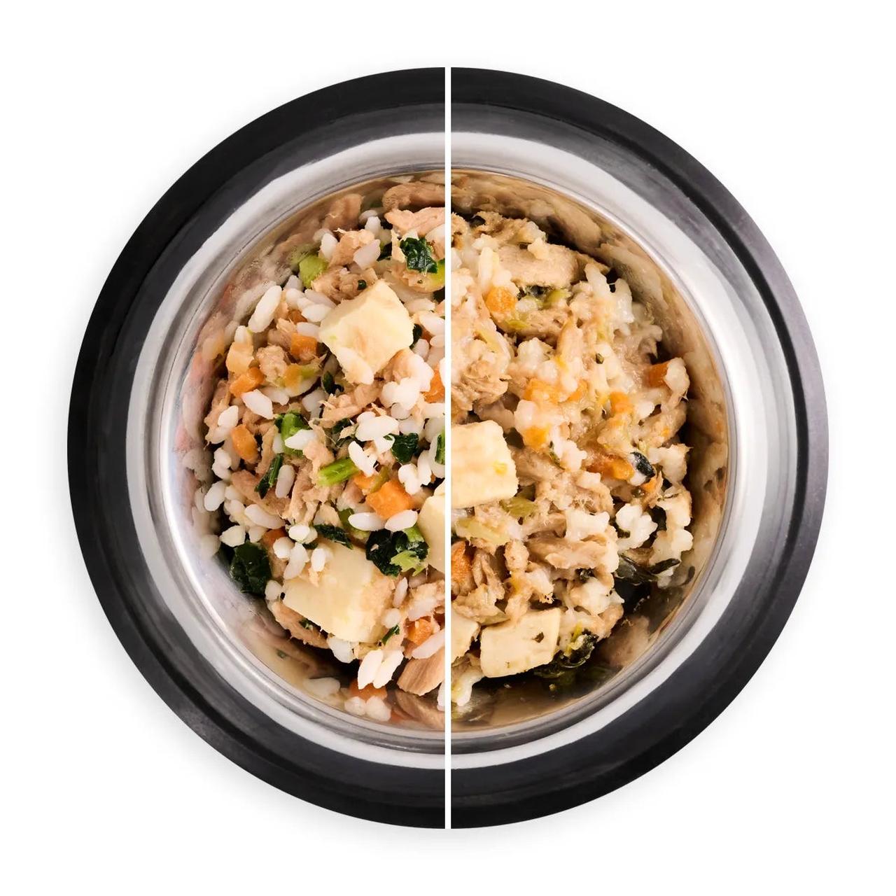 画像5: 愛犬のための健康で安心できる食事「nosh DOG」がローンチ