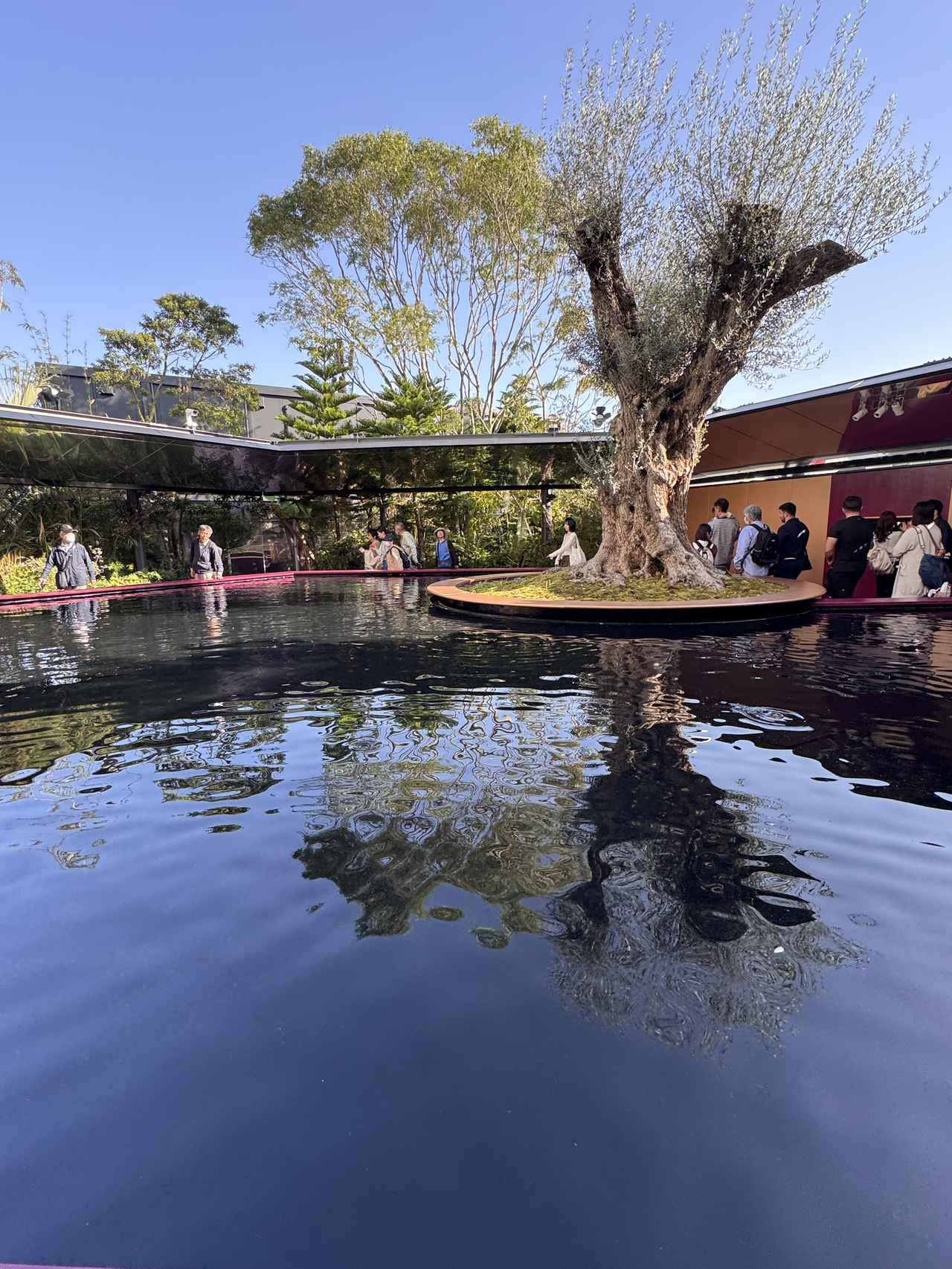 画像 : 6番目の画像 - 「【体験レポ】世界を旅する1日♡【EXPO 2025 大阪・関西万博】で見つけた推しパビリオン4選！」のアルバム - カワコレメディア