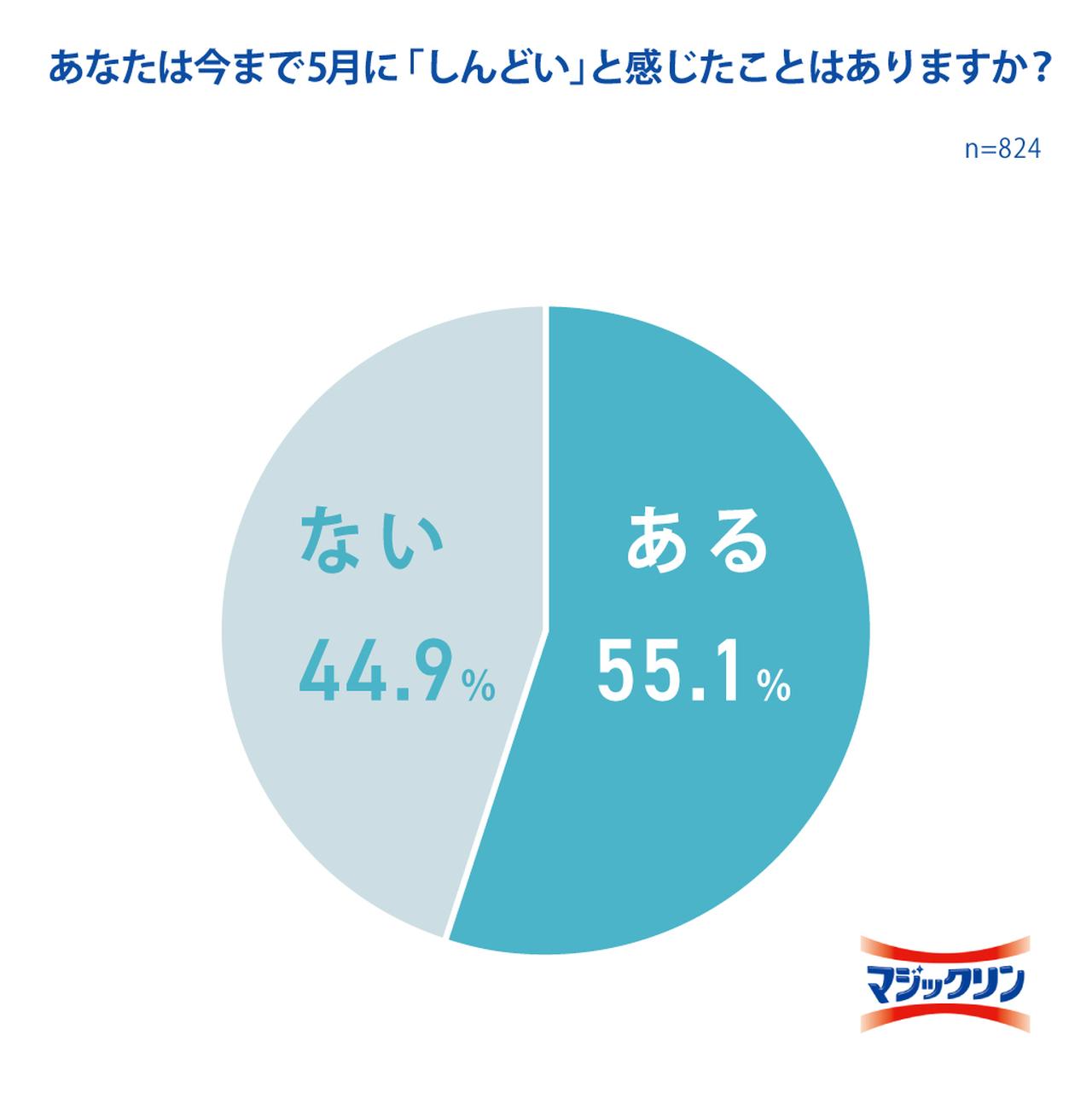 画像2: 出典「花王 マジックリン調べ」