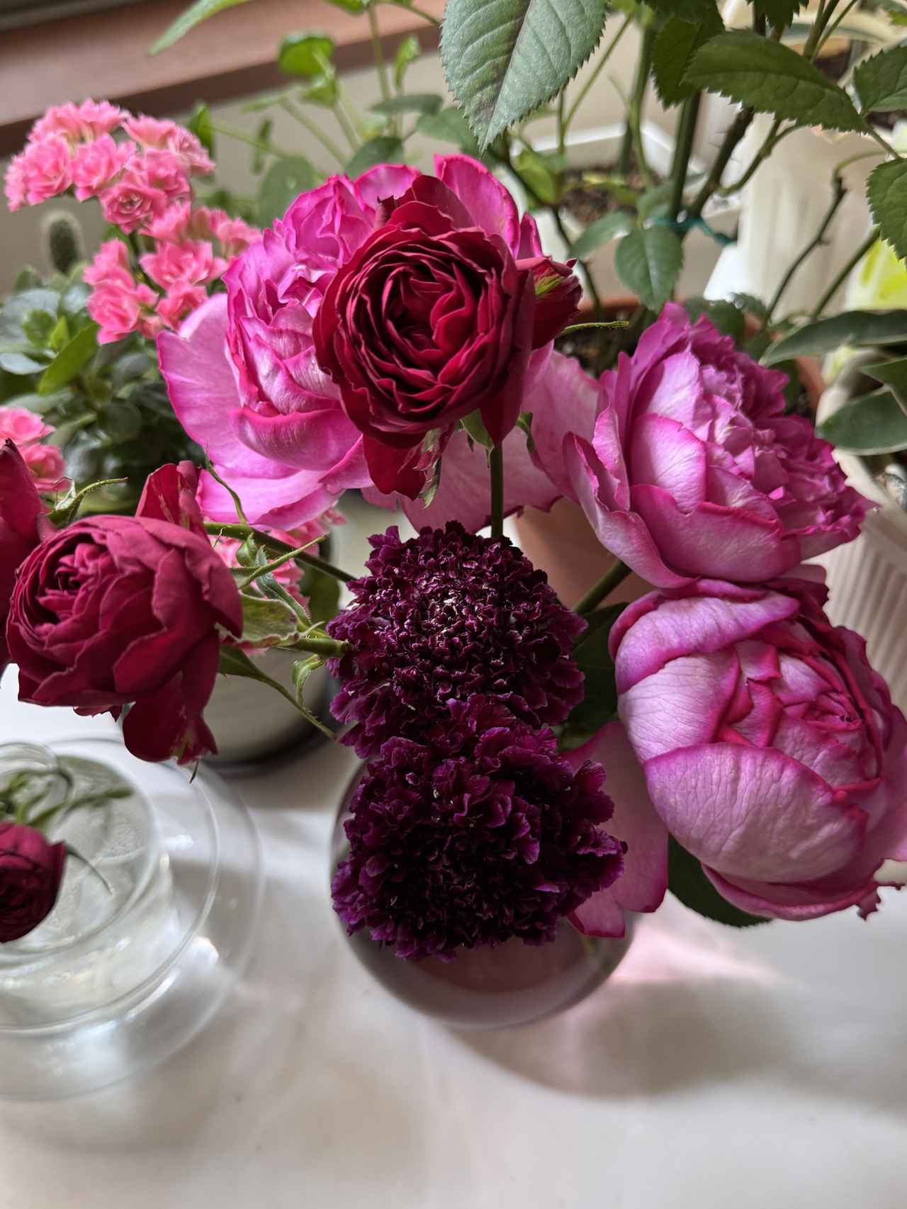 画像5: リンツと夢の共演♡ホテル インターコンチネンタル 東京ベイの「チェリーアフタヌーンティー」