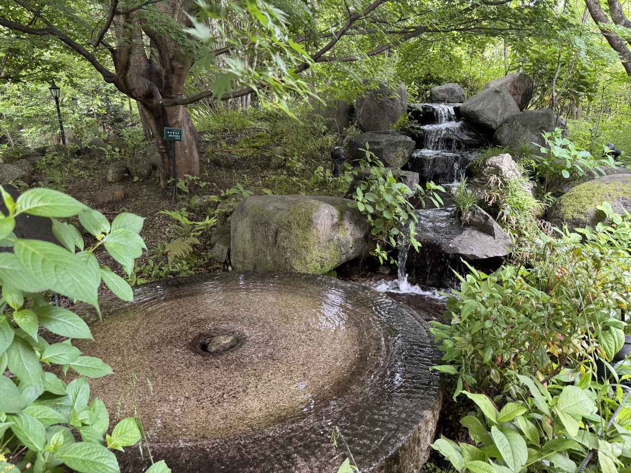 画像22: 那須を訪れたら絶対立ち寄りたい♡癒しのチーズ空間 『チーズガーデン』