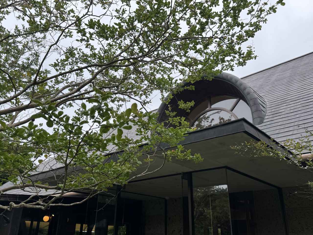 画像14: 那須を訪れたら絶対立ち寄りたい♡癒しのチーズ空間 『チーズガーデン』