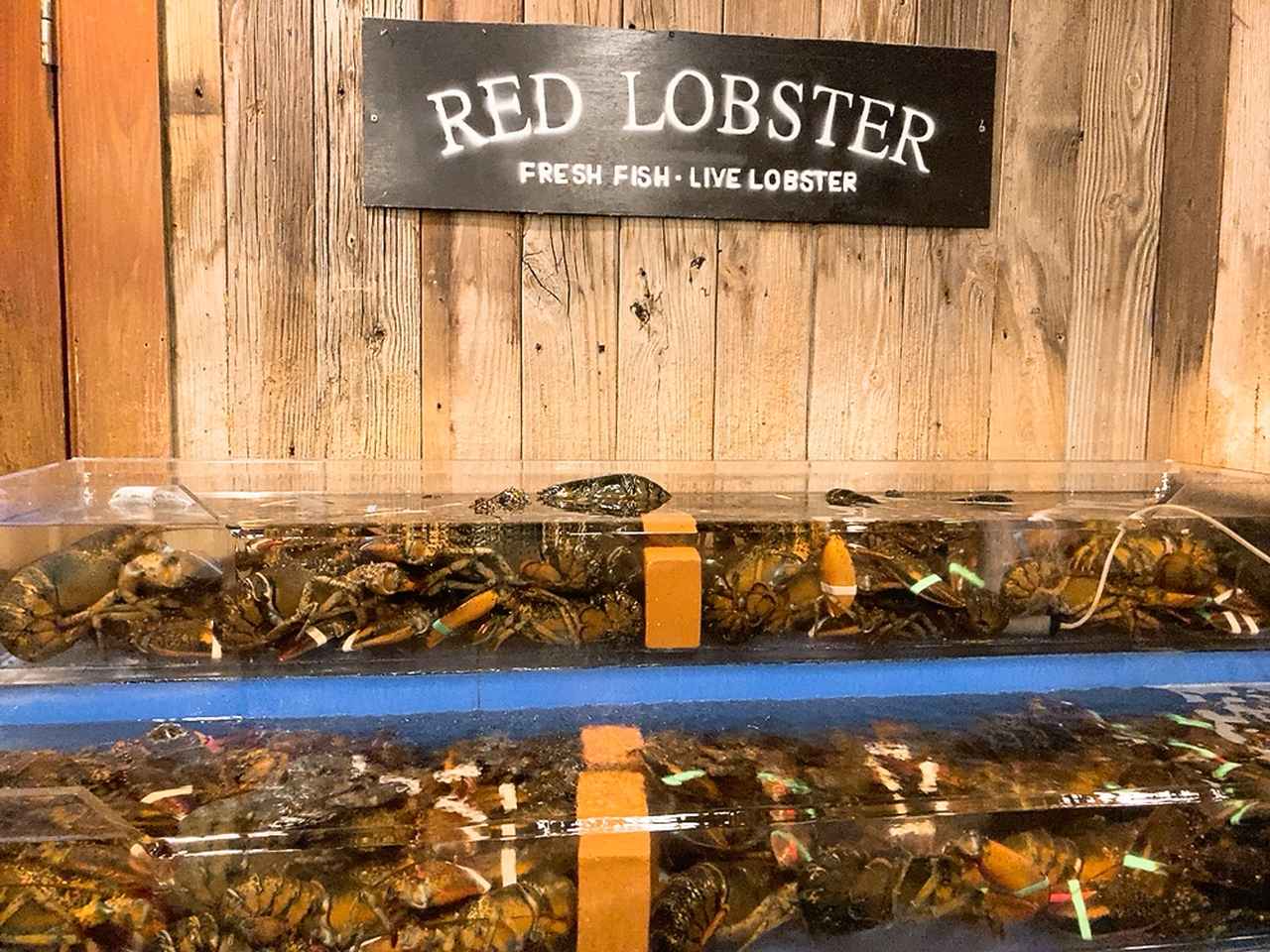 画像3: 【試食レポ】今年は超お得！レッドロブスターの「LOBSTER FEST 2025」が開催中♡旬のロブスターを食べられるのは今だけ！