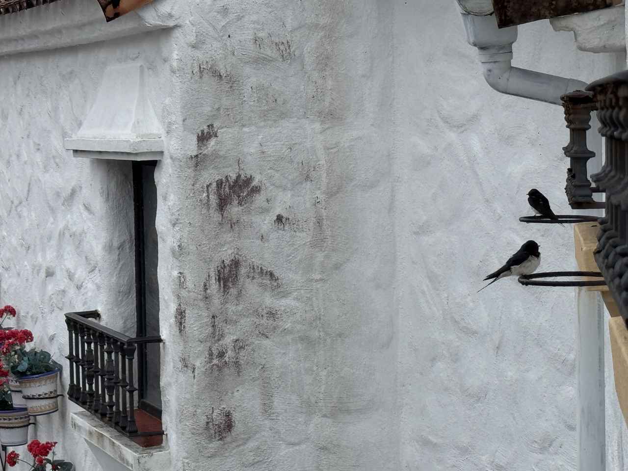 画像 : 13番目の画像 - 「まるで地中海の街並み♡三重で叶う“映え旅”と“癒し時間”【志摩地中海村】」のアルバム - カワコレメディア