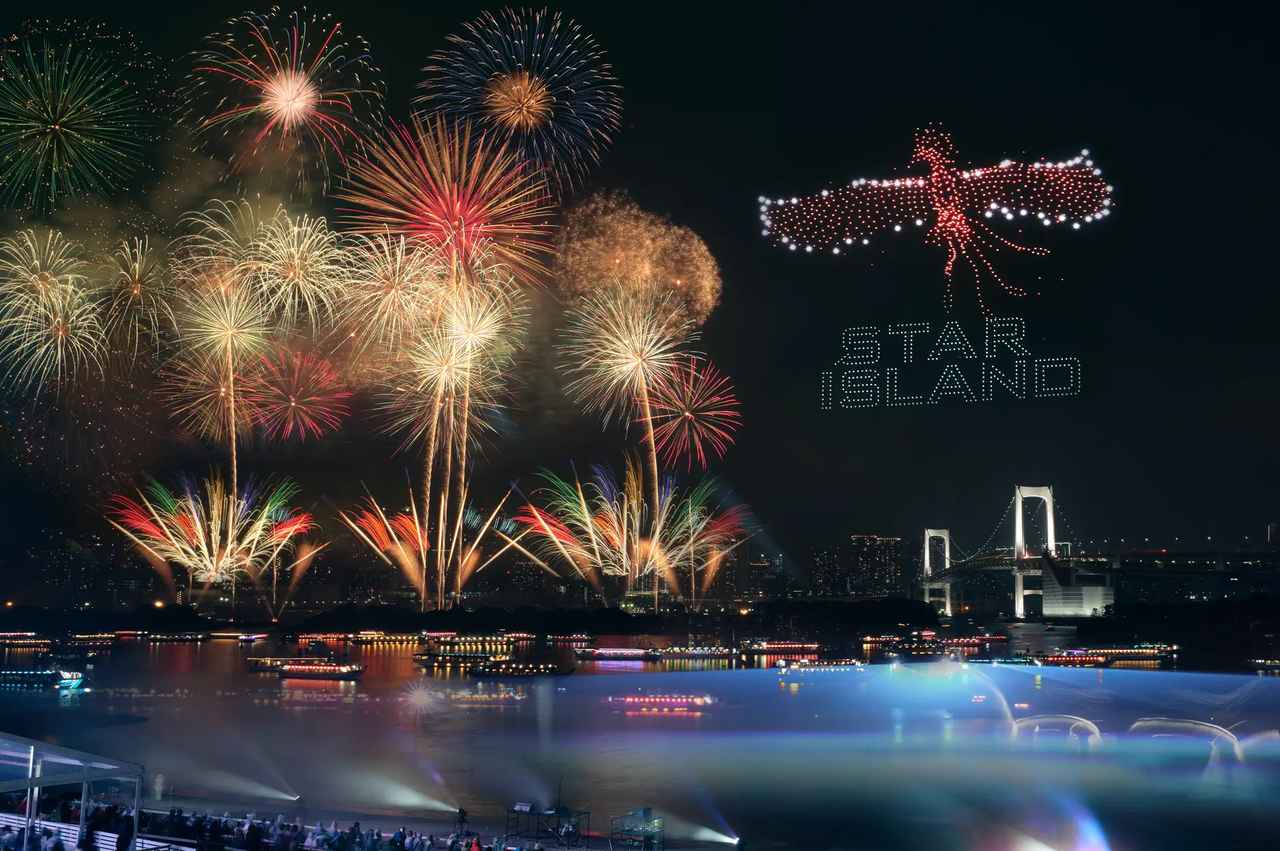 画像1: 音・光・炎・ドローンがシンクロする“未来の花火ショー”