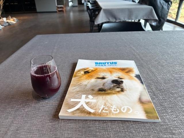 画像6: 富士・忍野のオーベルジュで過ごす贅沢ステイ。特別なひとときを、自然とともに