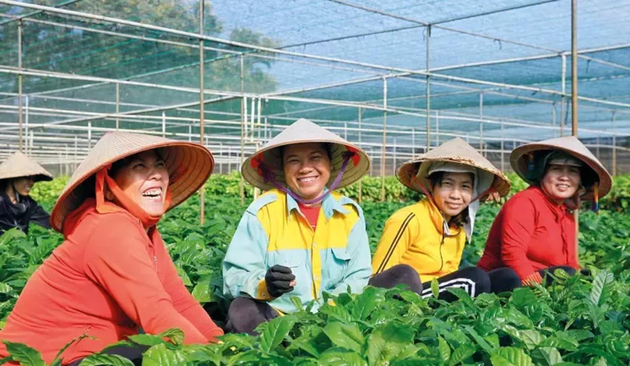 画像: ネスカフェ | ブランド | ネスレ日本 企業サイト | Nestlé