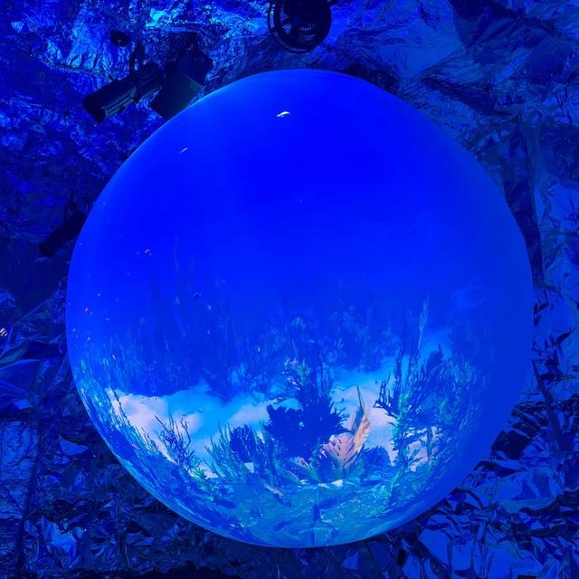 画像28: 大阪・関西万博2025の海外パビリオンを巡ろう!熱気と感動に包まれる夢洲に向かって