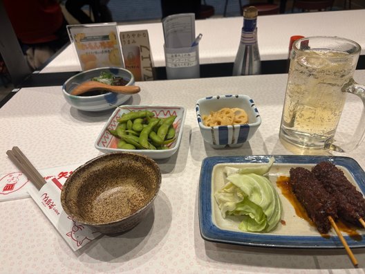 画像4: 愛知を満喫！観光スポットで鳩と触れ合おう！