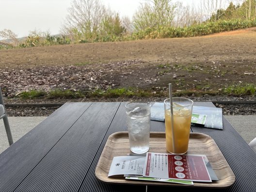 画像12: 新潟の魅力をまるごと体感！ 自然・食・文化の旅へ