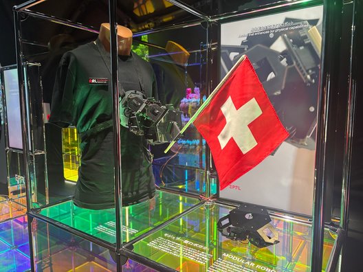 画像23: 大阪・関西万博2025の海外パビリオンを巡ろう！熱気と感動に包まれる夢洲に向かって