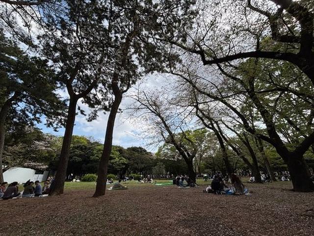 代々木公園
