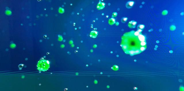 画像13: 大阪・関西万博2025の海外パビリオンを巡ろう!熱気と感動に包まれる夢洲に向かって