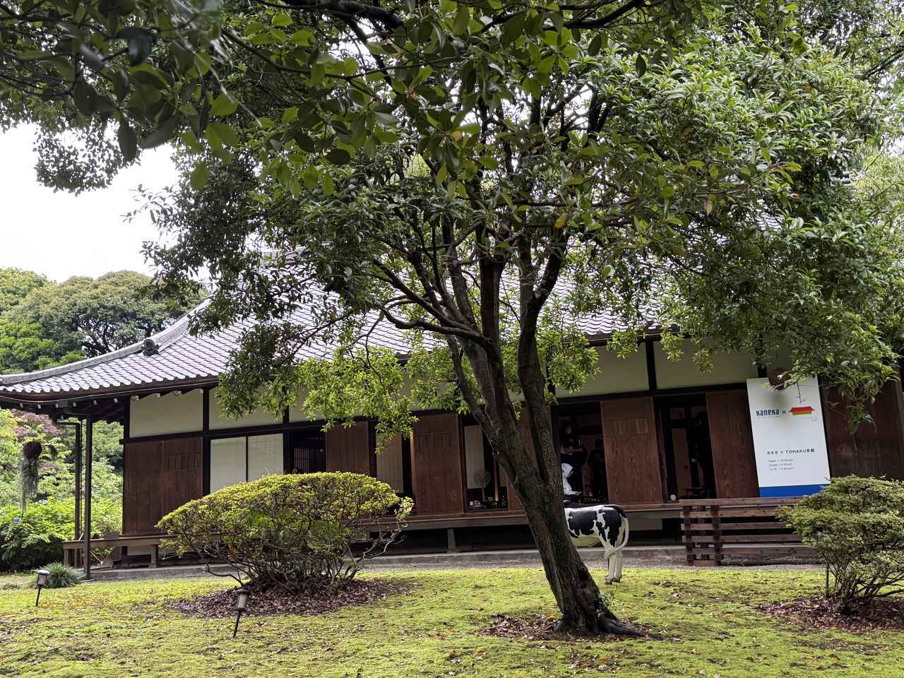 画像1: 東京国立博物館でオーガニックなひとときを♡「カネカ×TOHAKU茶館」で味わうやさしい美味しさ