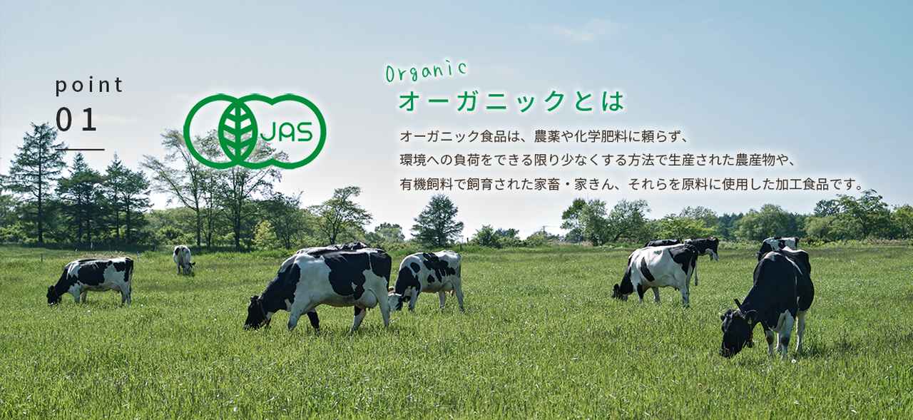 画像3: 国産オーガニック素材が主役。ここだけの期間限定メニュー