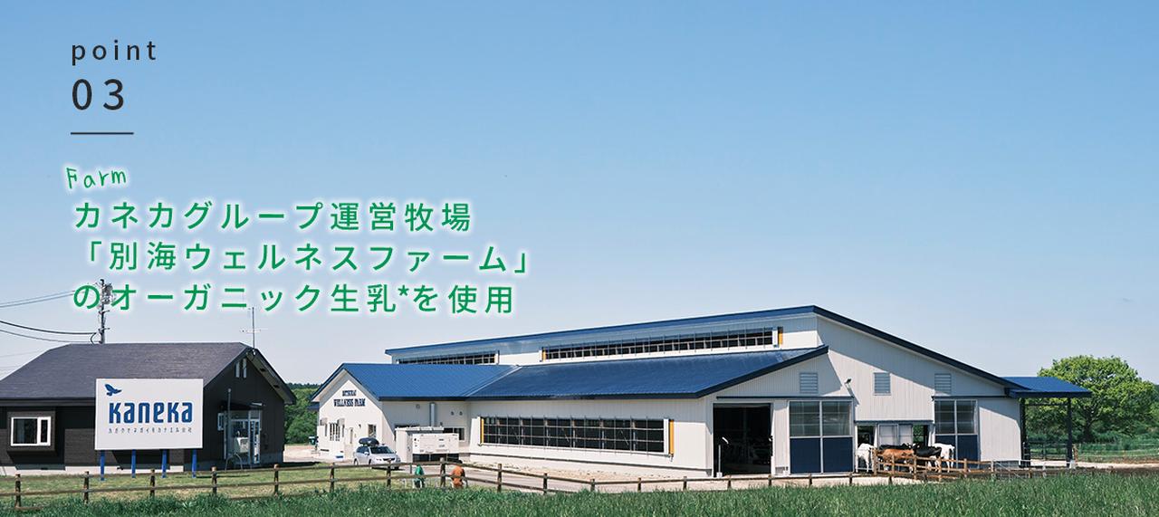 画像5: 国産オーガニック素材が主役。ここだけの期間限定メニュー