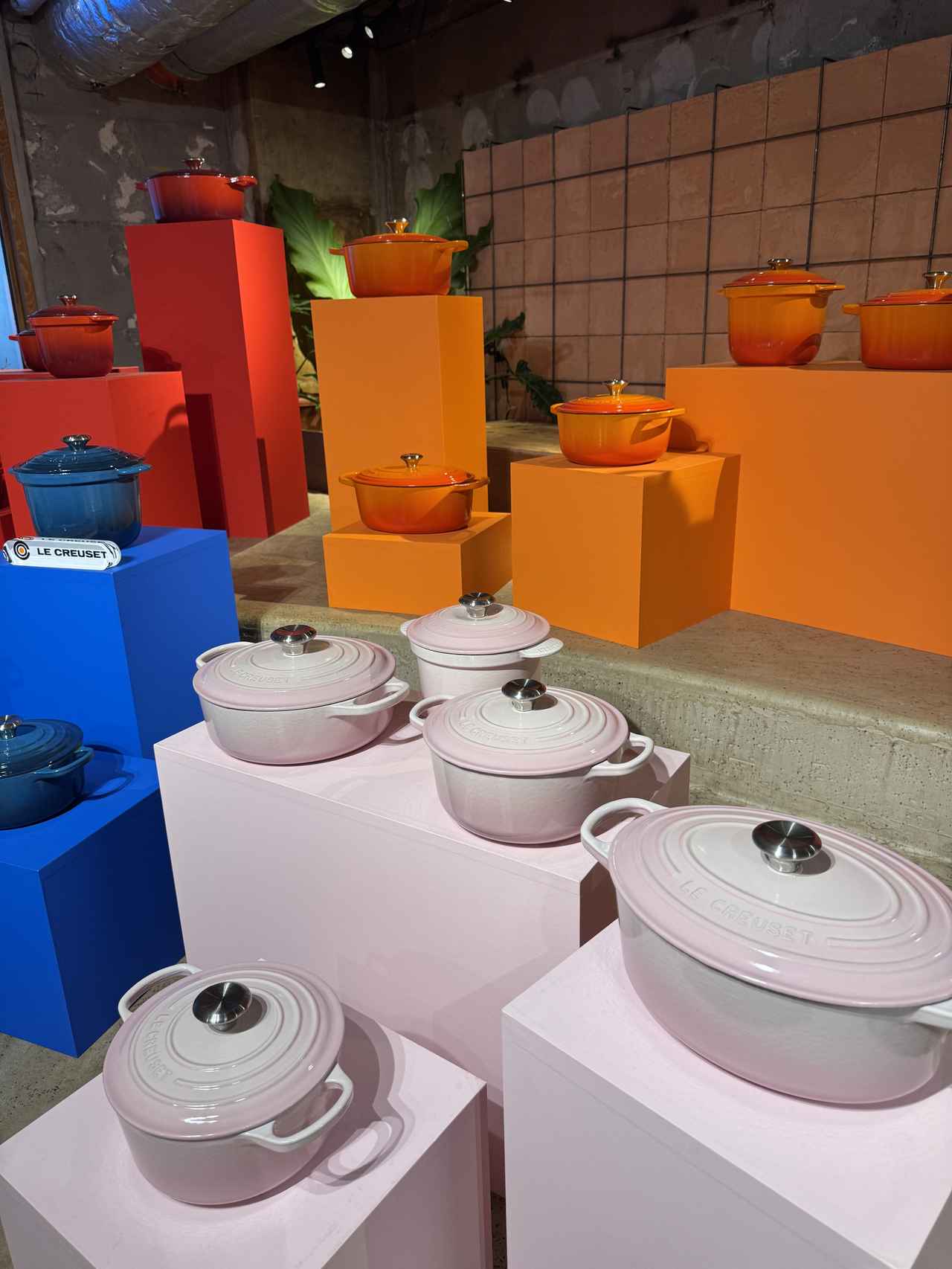 画像14: 100年の“美味しい”をあなたの食卓にも♡ル・クルーゼ創業100周年記念カラー「フラムドレ」が登場！