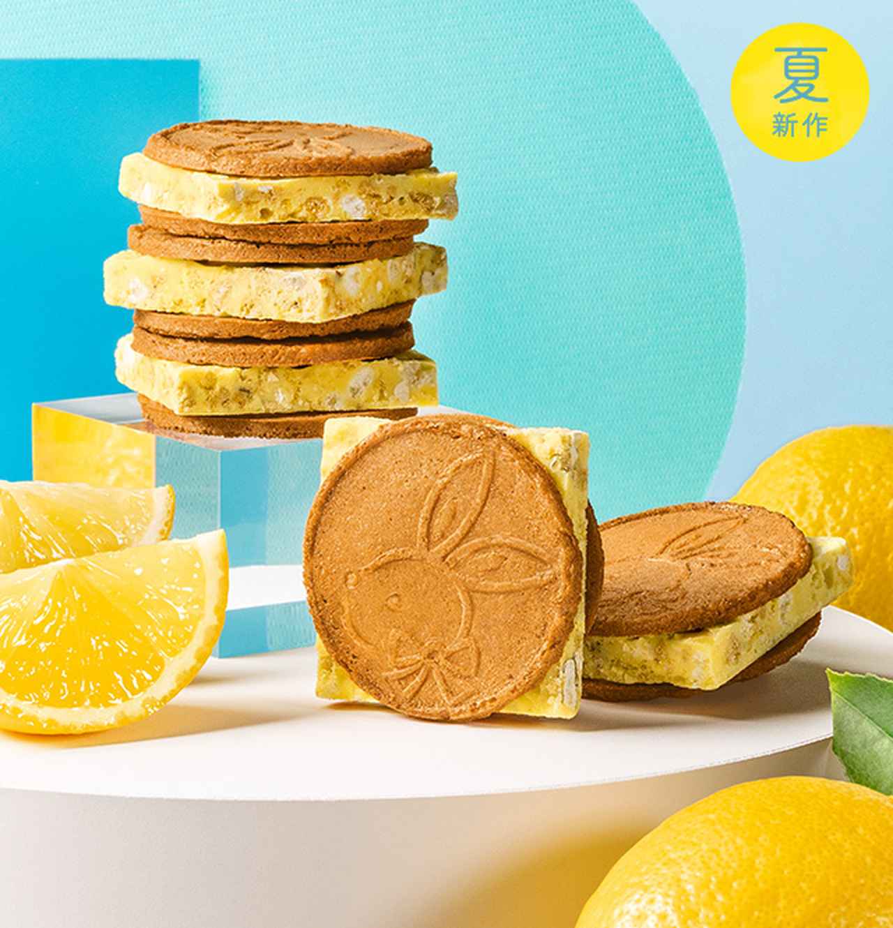 画像: 鎌倉レモンサンドだょ｜鎌倉五郎本店