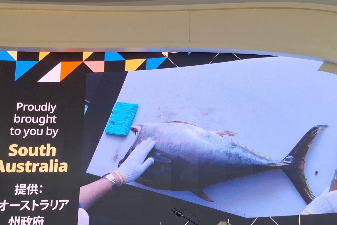 画像6: 【万博】南オーストラリア産のマグロの解体ショーイベントが実施されました