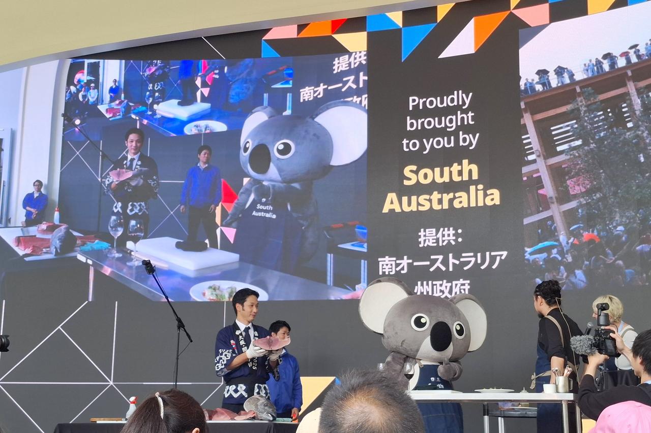 画像9: 【万博】南オーストラリア産のマグロの解体ショーイベントが実施されました