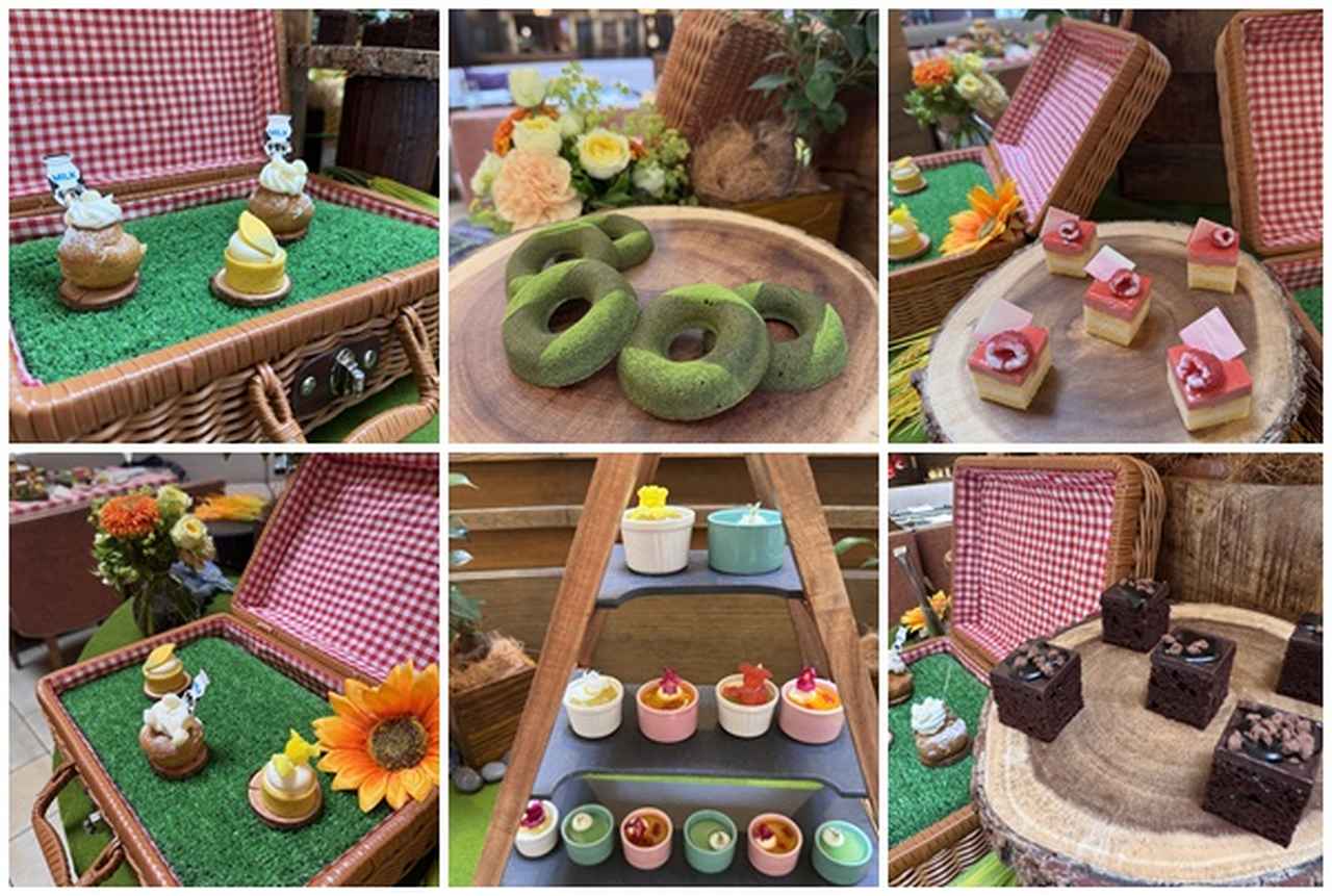 画像1: この夏は“屋内ピクニック”が新定番♡ANAインターコンチネンタルホテル東京の夏限定プランがかわいすぎる！