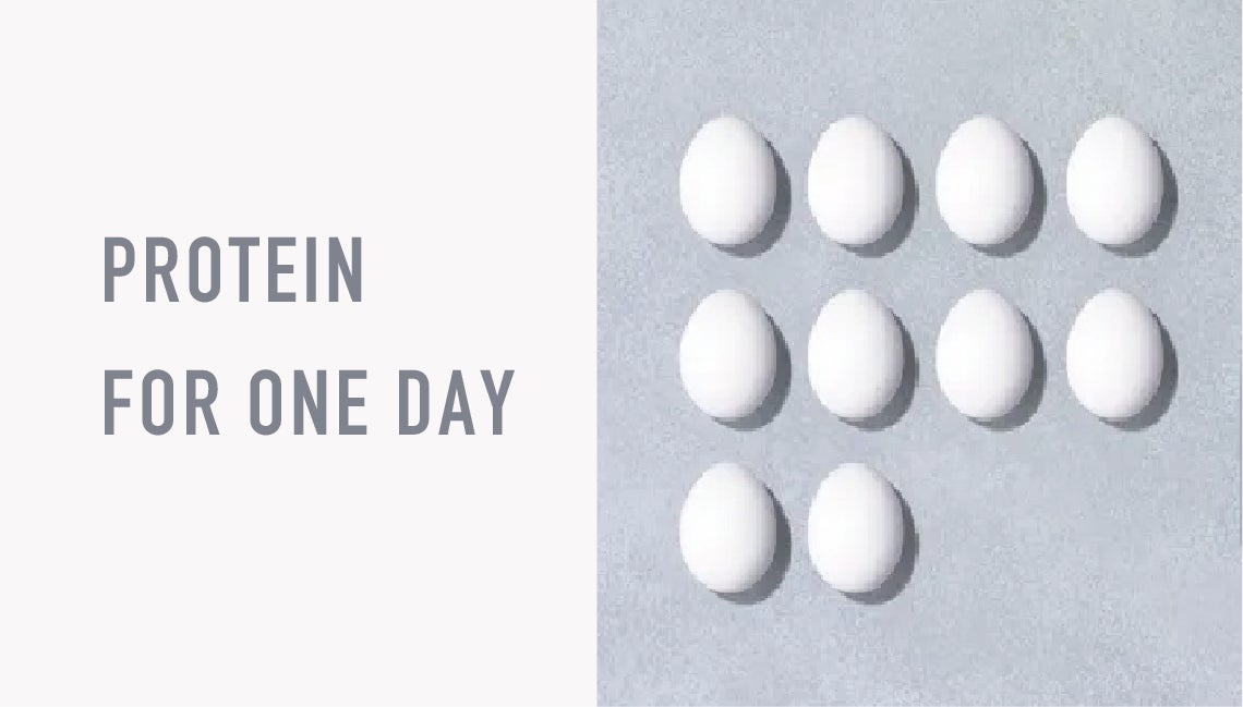 画像1: たんぱく質、足りていますか？