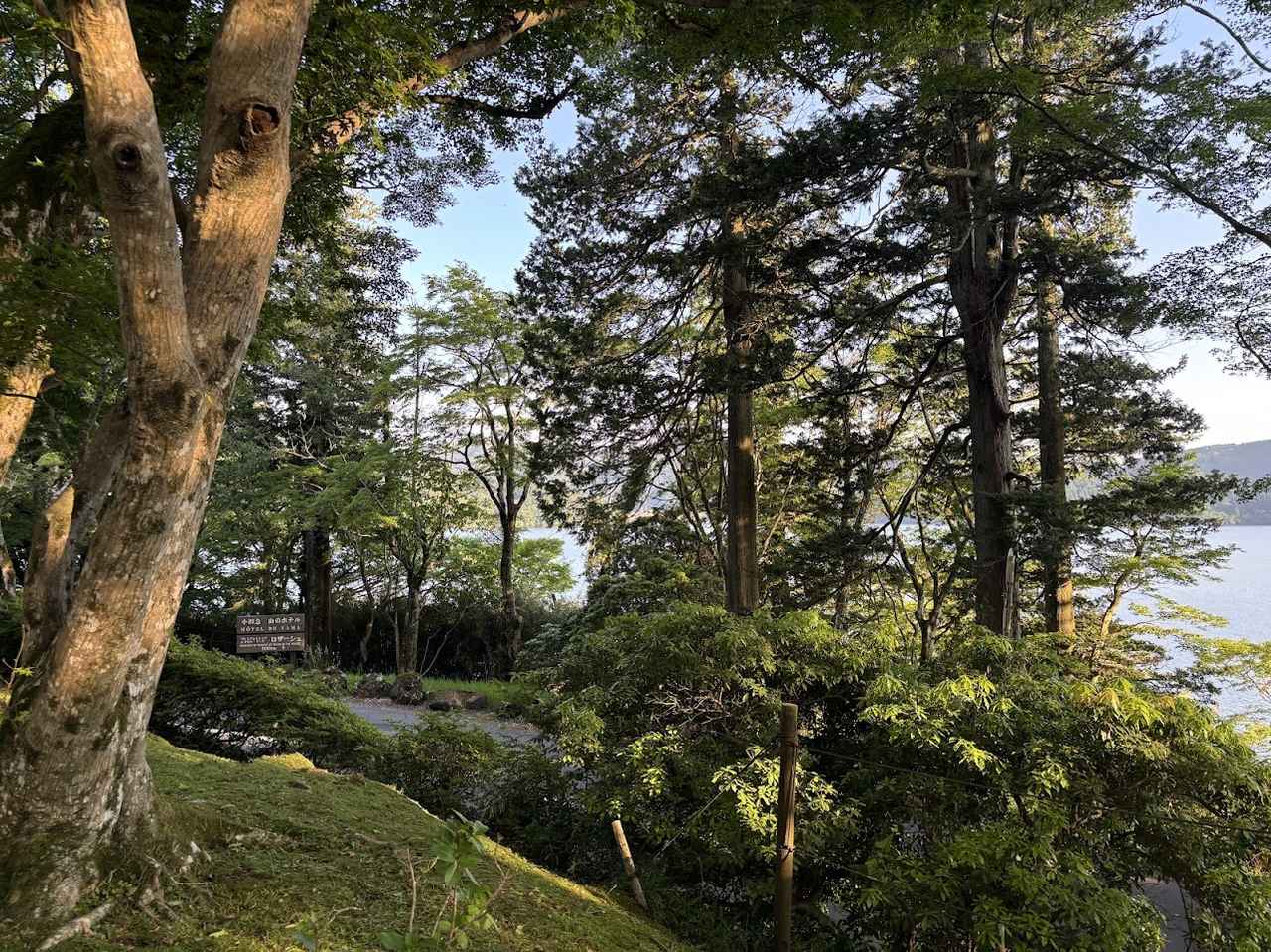 画像2: 芦ノ湖の景色を楽しめ広大な庭園をもつ「山のホテル」