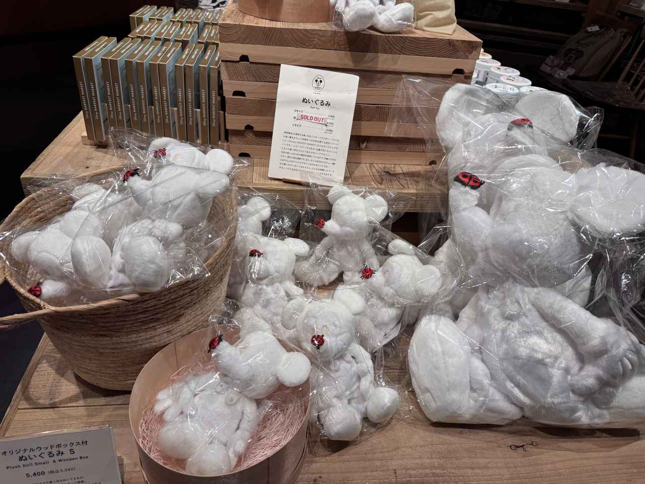 画像6: ©︎Disney