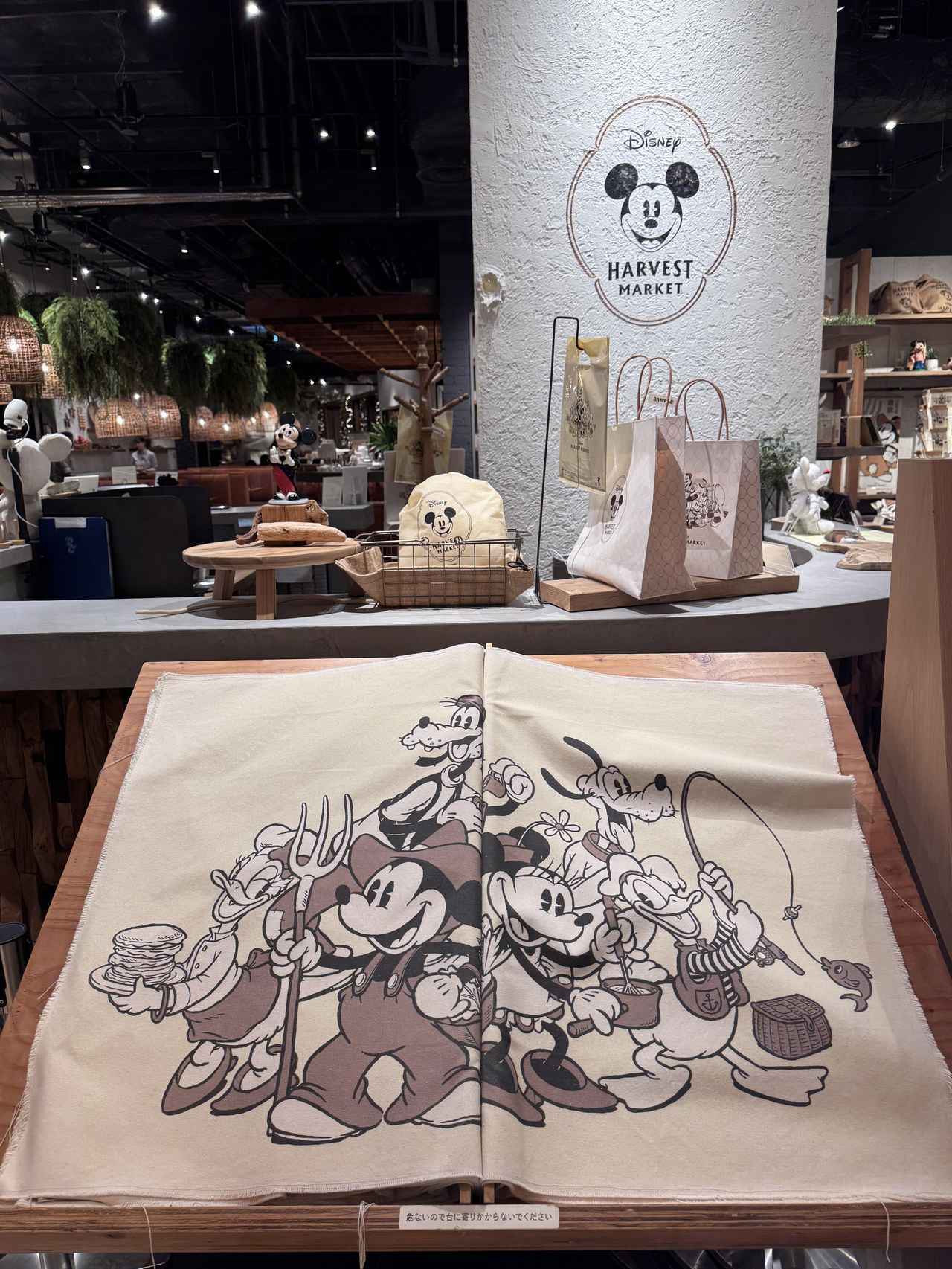 画像3: ©︎Disney