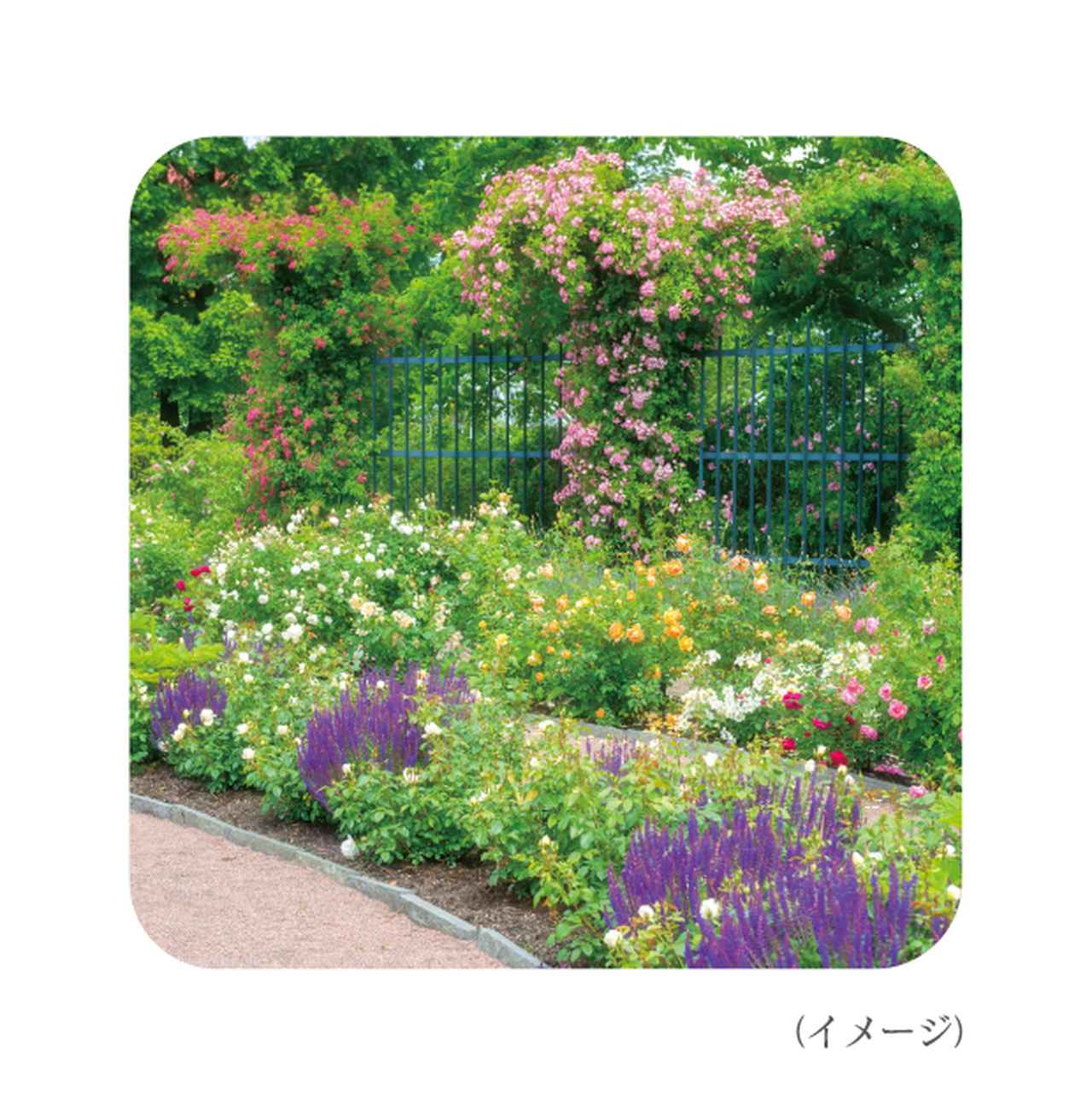 画像: ヘアケアの時間を演出するハーバルガーデンの香り