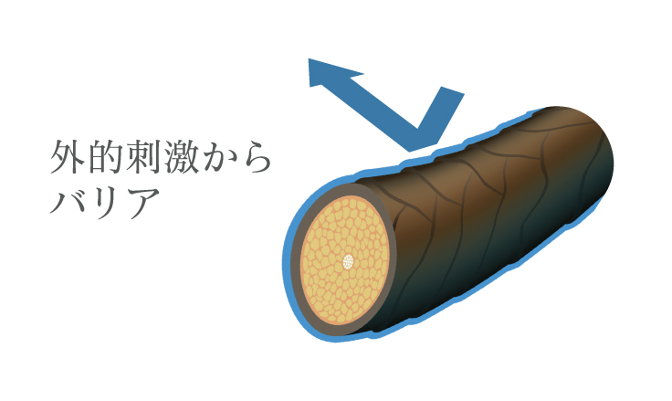 画像1: イメージ