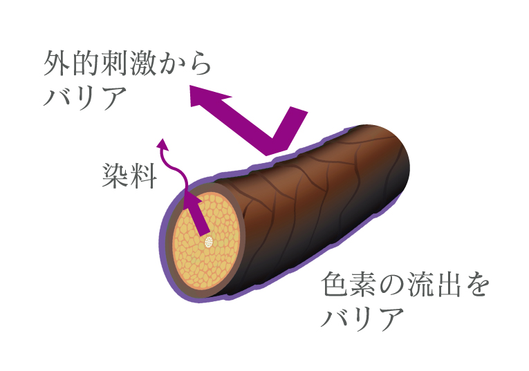 画像2: イメージ