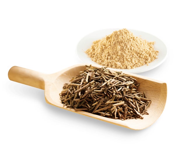 画像2: 和のご褒美ジェラートで心ほぐれる夏時間♡ハーゲンダッツから「いちご練乳みるく」「ほうじ茶きなこ」が新登場!