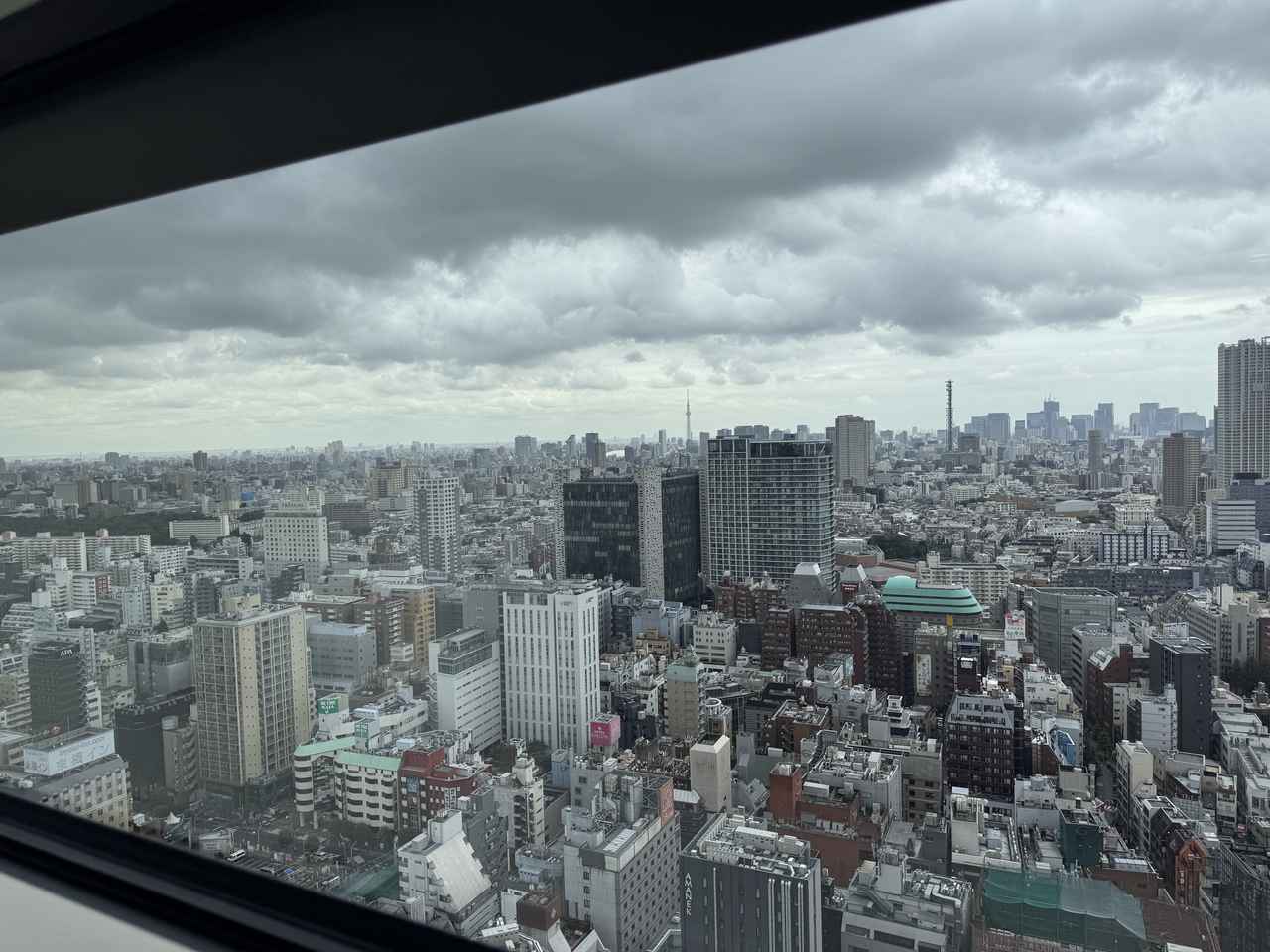 画像10: ゴジラファン必見♡ホテルグレイスリー新宿に「ゴジラVSキングギドラルーム」誕生