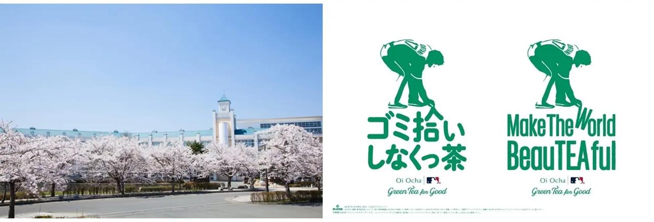 画像1: Green Tea for Good プロジェクト