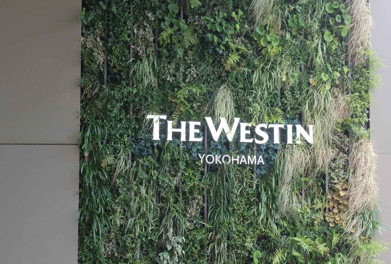 画像 : 26番目の画像 - ウェスティンホテル横浜 - カワコレメディア