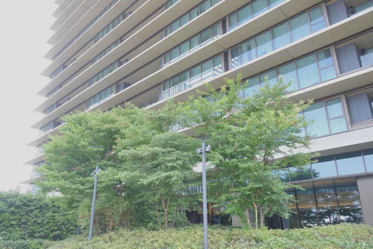 画像 : 20番目の画像 - ウェスティンホテル横浜 - カワコレメディア