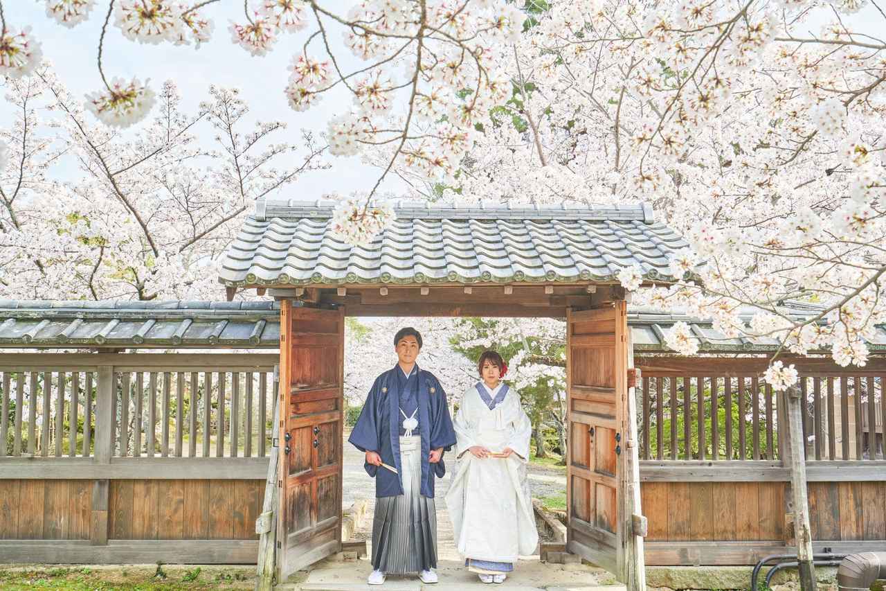 画像2: 京都の街を旅するように楽しむ、和装の「旅フォト」体験。