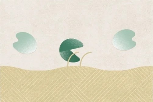 画像3: ２．キー成分「デンマーク産酵素」が衣類表面の毛玉・毛羽立ちを分解*2