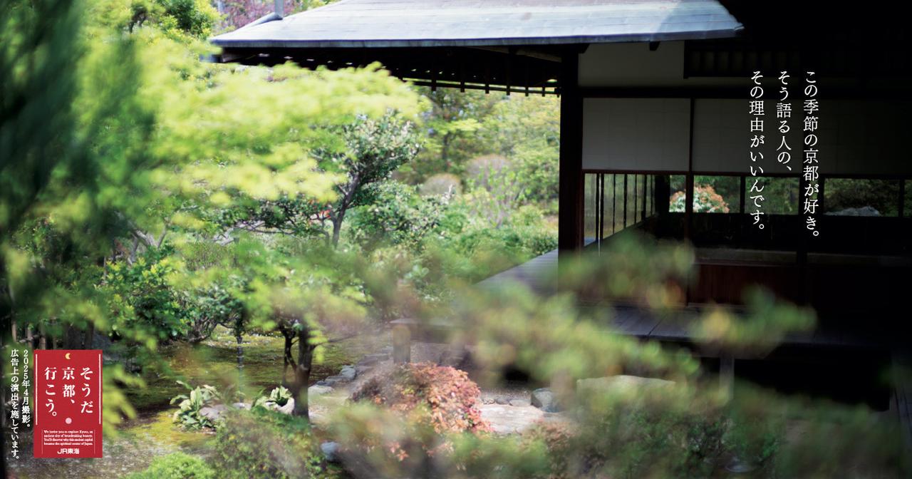 画像: この季節の京都が好き。そう語る人の、その理由がいいんです。｜そうだ 京都、行こう。