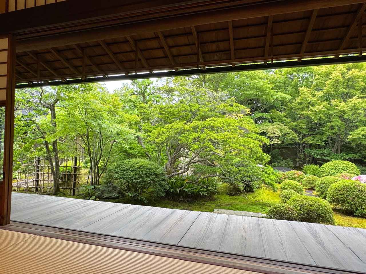 画像9: 初夏の天球院で過ごす、癒やしの時間